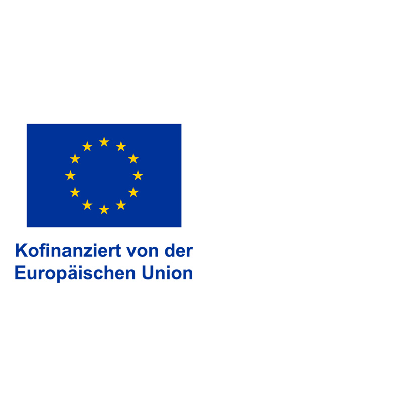 EU_Sozialfonds-Marion-Ganse-2024-2